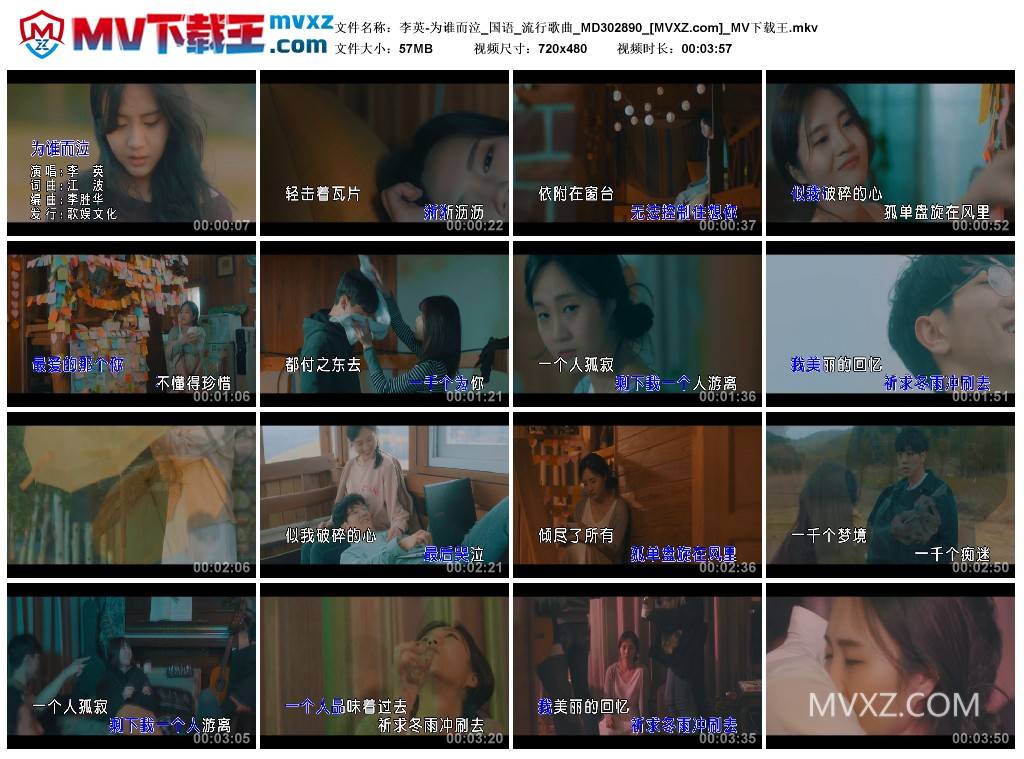 李英-为谁而泣_国语_流行歌曲_MD302890